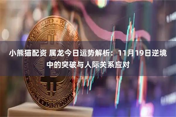 小熊猫配资 属龙今日运势解析：11月19日逆境中的突破与人际关系应对
