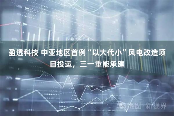 盈透科技 中亚地区首例“以大代小”风电改造项目投运，三一重能承建