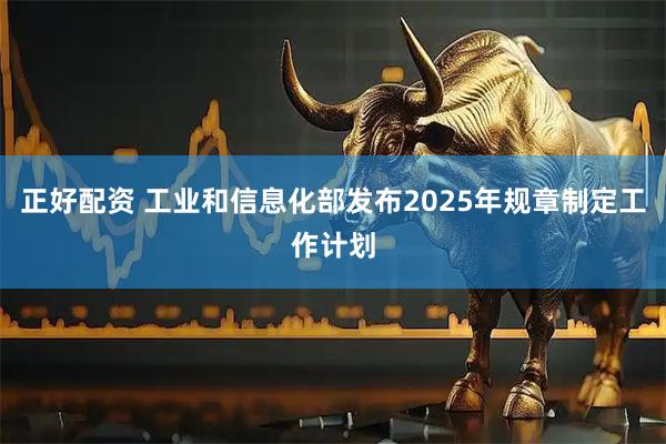 正好配资 工业和信息化部发布2025年规章制定工作计划