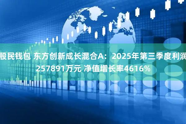 股民钱包 东方创新成长混合A：2025年第三季度利润257891万元 净值增长率4616%